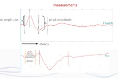 WhatsApp-Image-2023-07-11-at-14.12.45