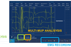 Screenshot-2023-07-10-173217-1